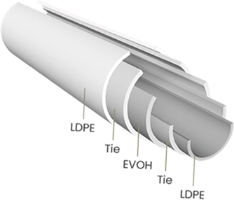 02-monolayer-thumb3
